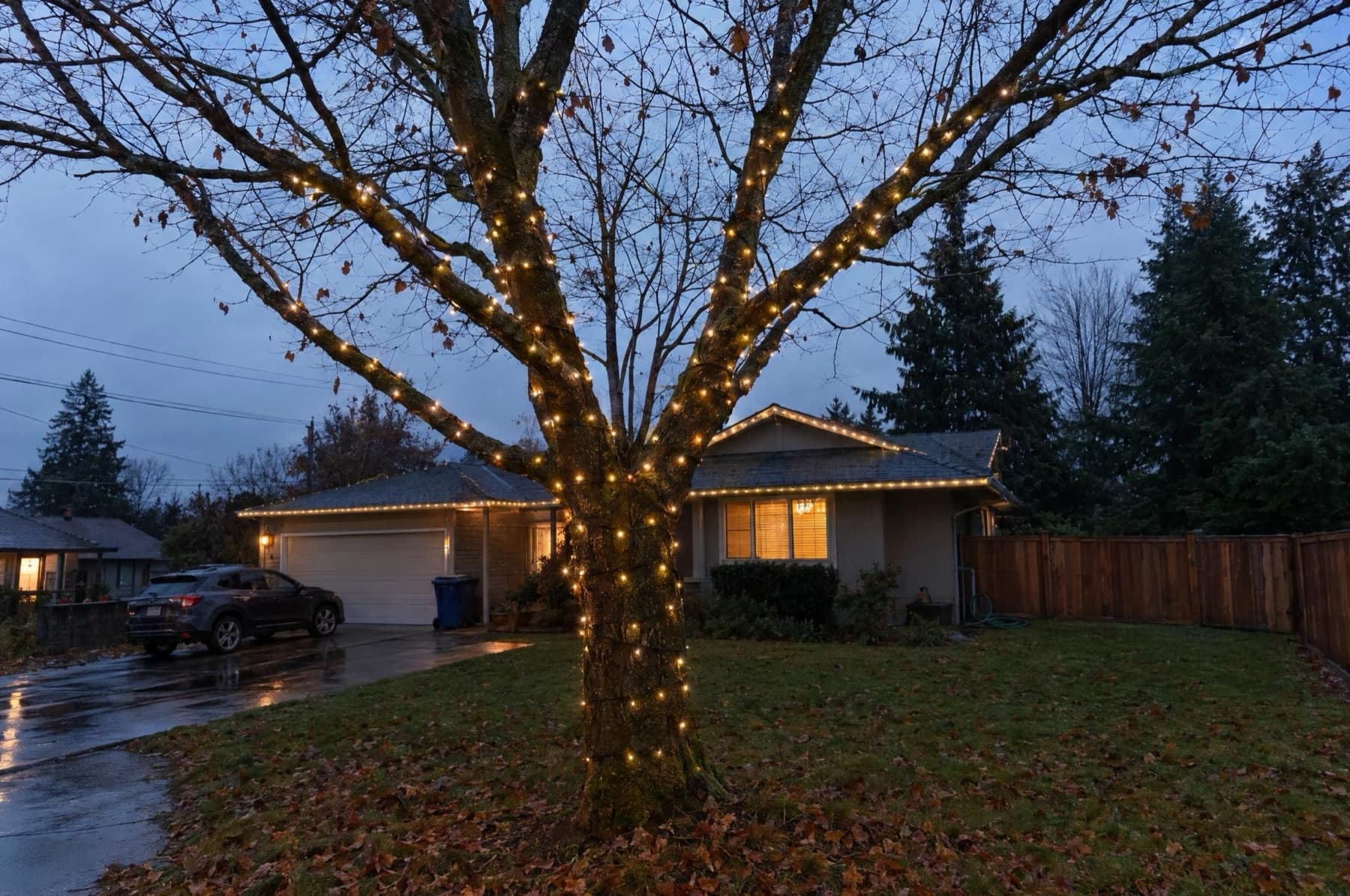 Mid-century home under tall Douglas firs with subtle warm-white roofline lights
