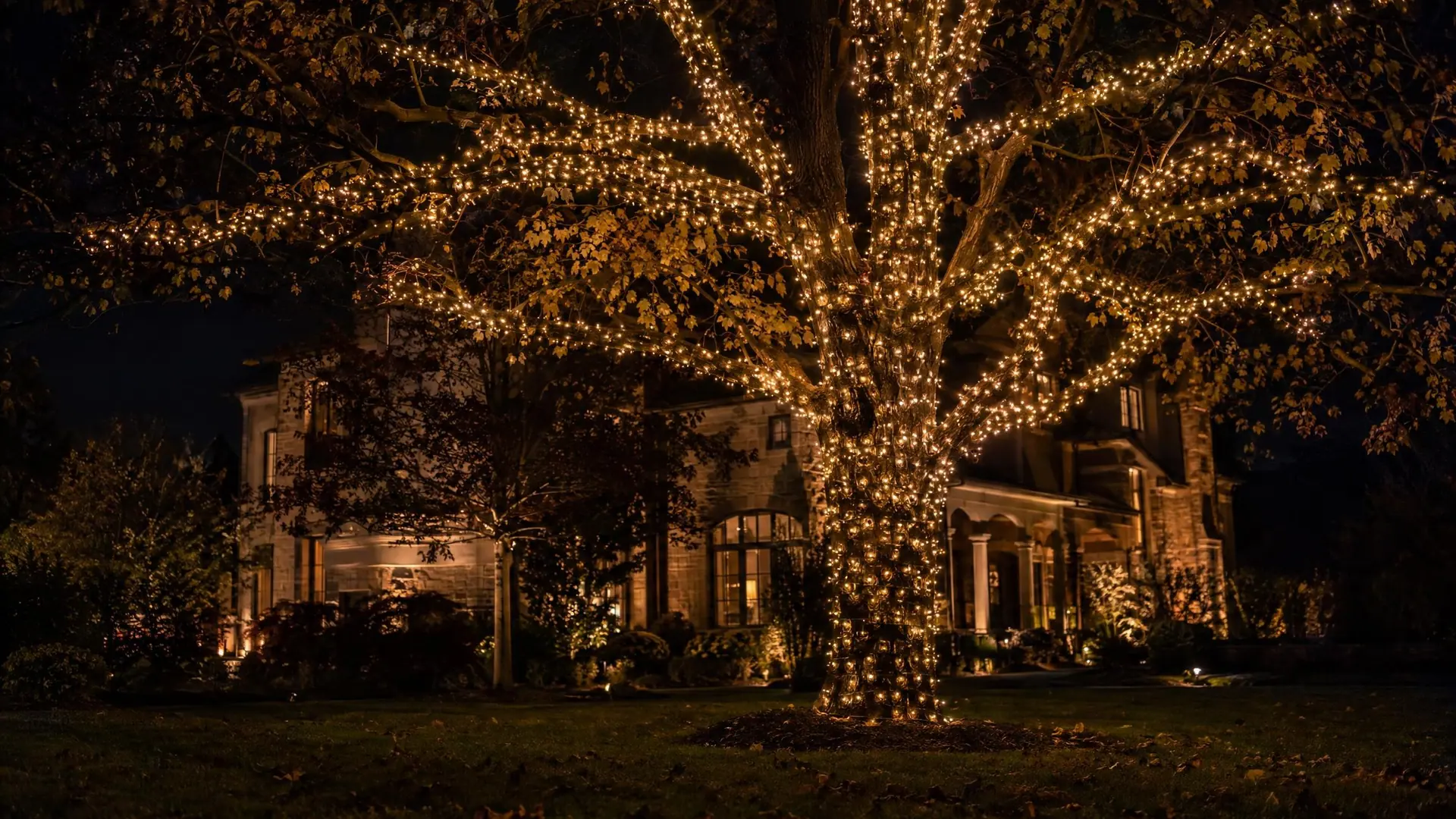Illustration of a large tree wrapped in warm-white lights at night, with a lit house behind it